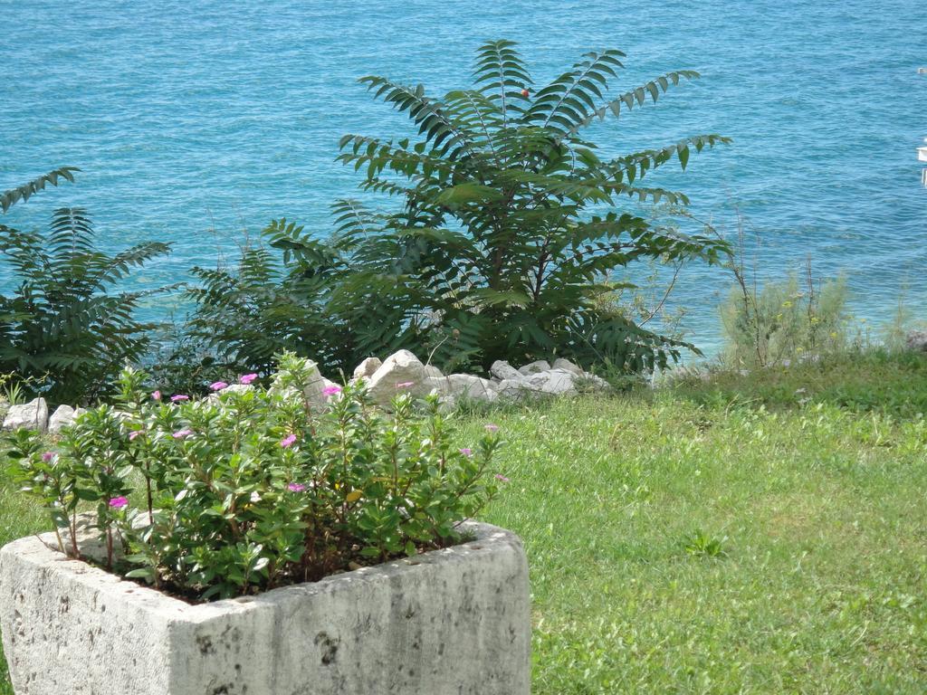 Apartments Mimoza Brist Luaran gambar